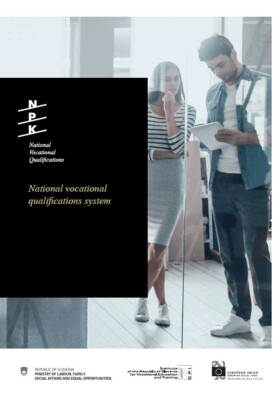 National vocational qualifications system (PDF)